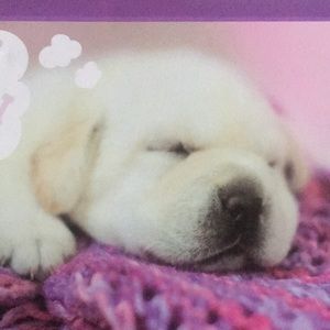 Meet your Posher, Claudia